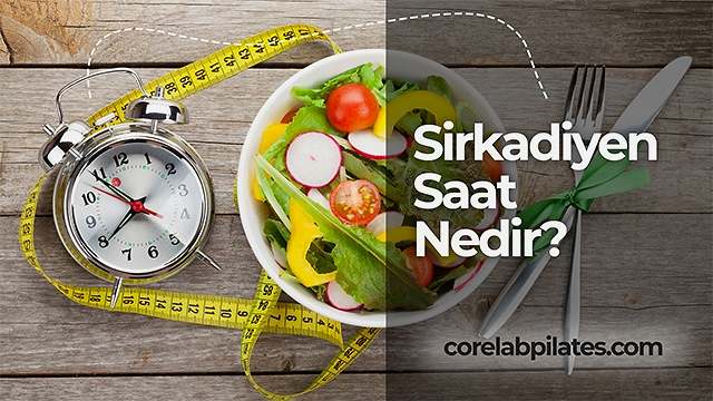 sirkadiyen saat